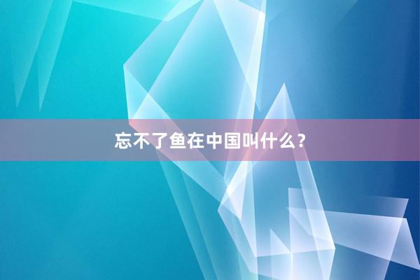 忘不了鱼在中国叫什么？