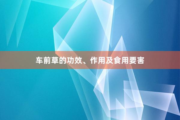 车前草的功效、作用及食用要害